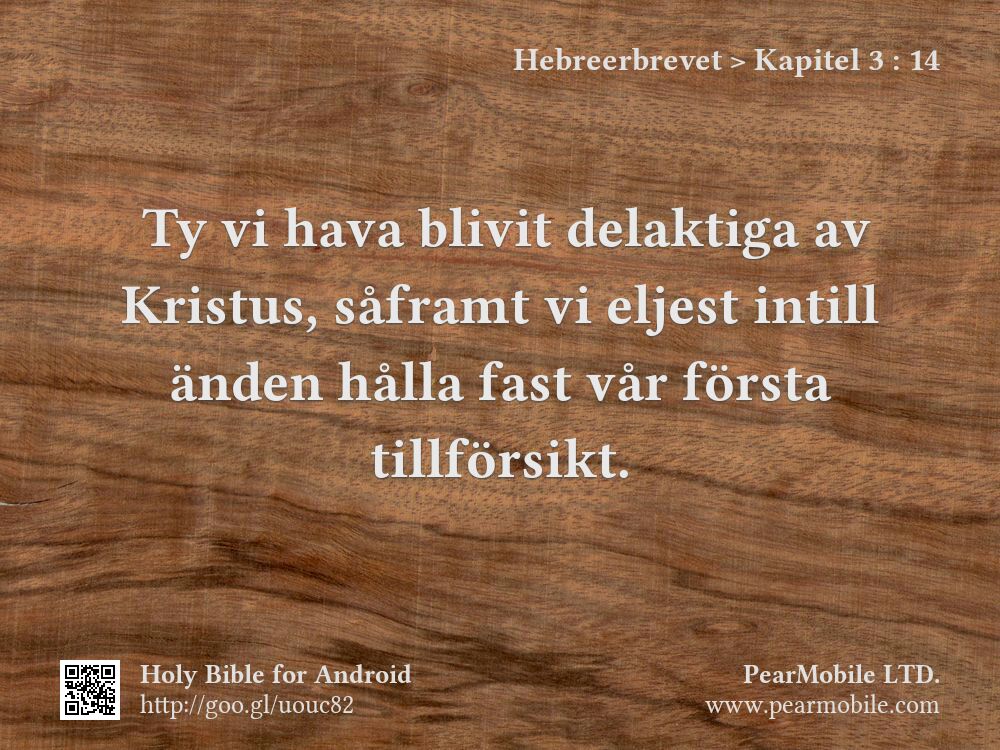Hebreerbrevet, Kapitel 3:14